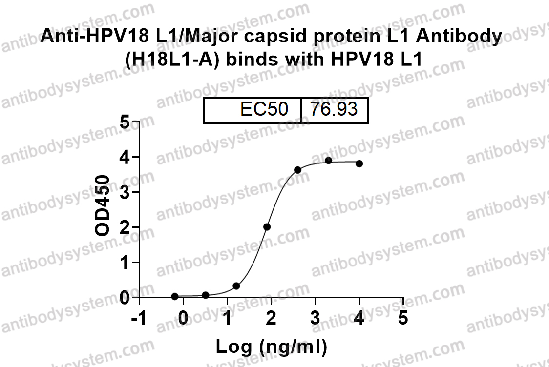 Bioactivity for Research Grade Anti-HPV18 L1/Major capsid protein L1 Antibody (H18L1-A) ?>
