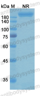 Research Grade Gremubamab