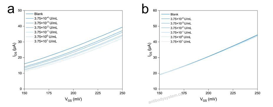 Bioactivity for Recombinant Human MUC16/CA125 Protein, C-His ?>