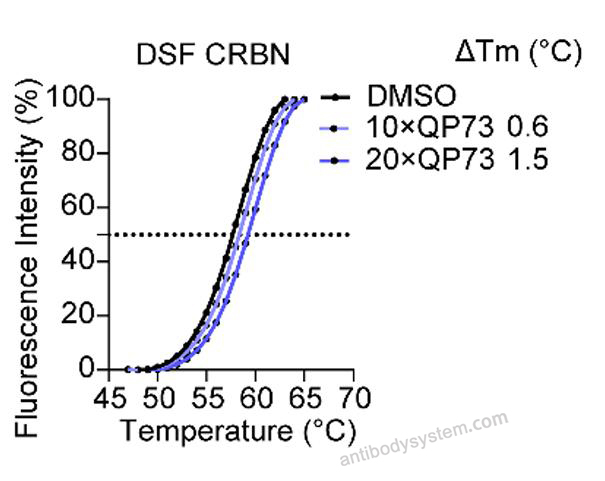 Bioactivity for Recombinant Human CRBN & DDB1 Protein, N-Strep & C-His ?>