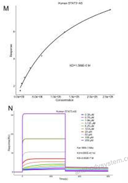 Surface Plasmon Resonance for Recombinant Mouse STAT3 Protein, C-His ?>