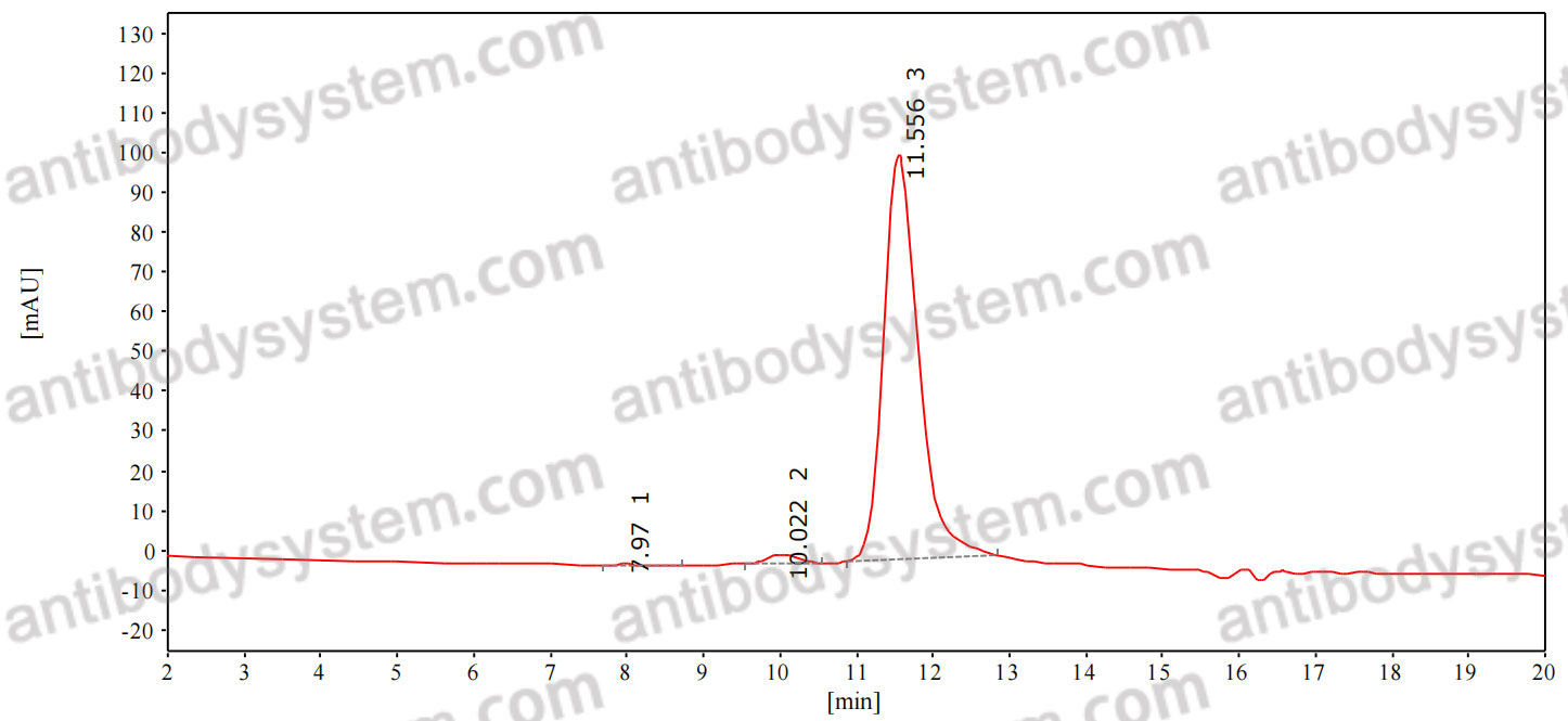 Feline IgG2, kappa Isotype Control antibody (HyHEL-10)
