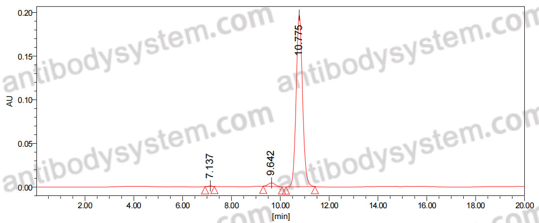 Anti-Human LGR5/GPR49 Antibody (SAA0507)