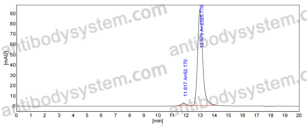 Anti-Human LY6H Antibody (12G7)