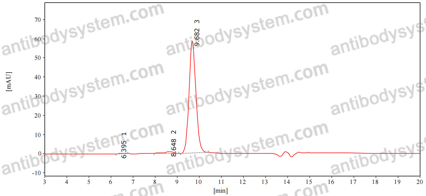 Anti-Human TRAC Antibody (T10B9.1A-31)