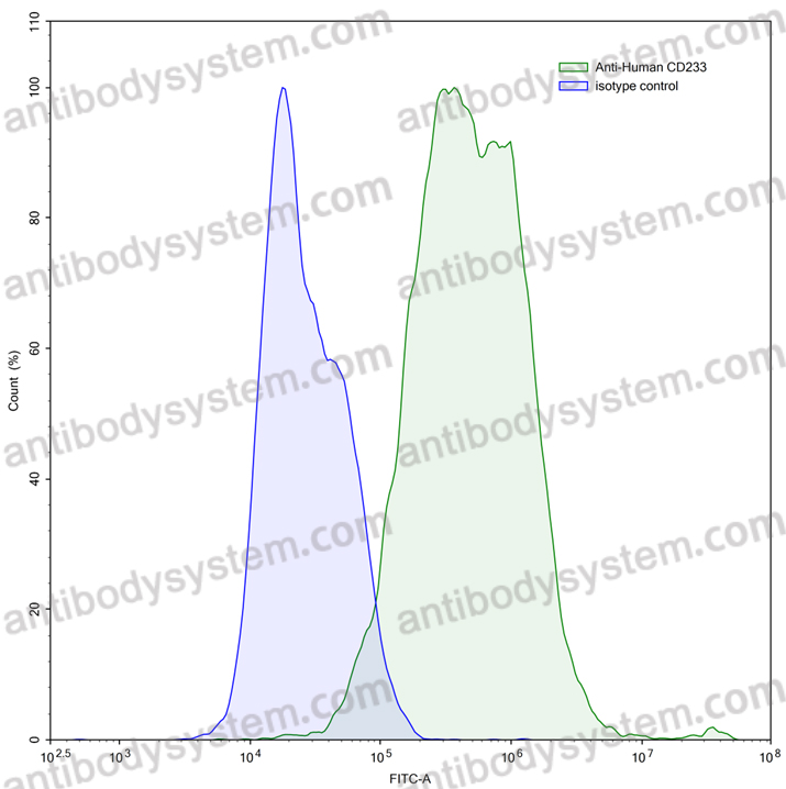 Anti-Human CD233/SLC4A1 Antibody (C4201)