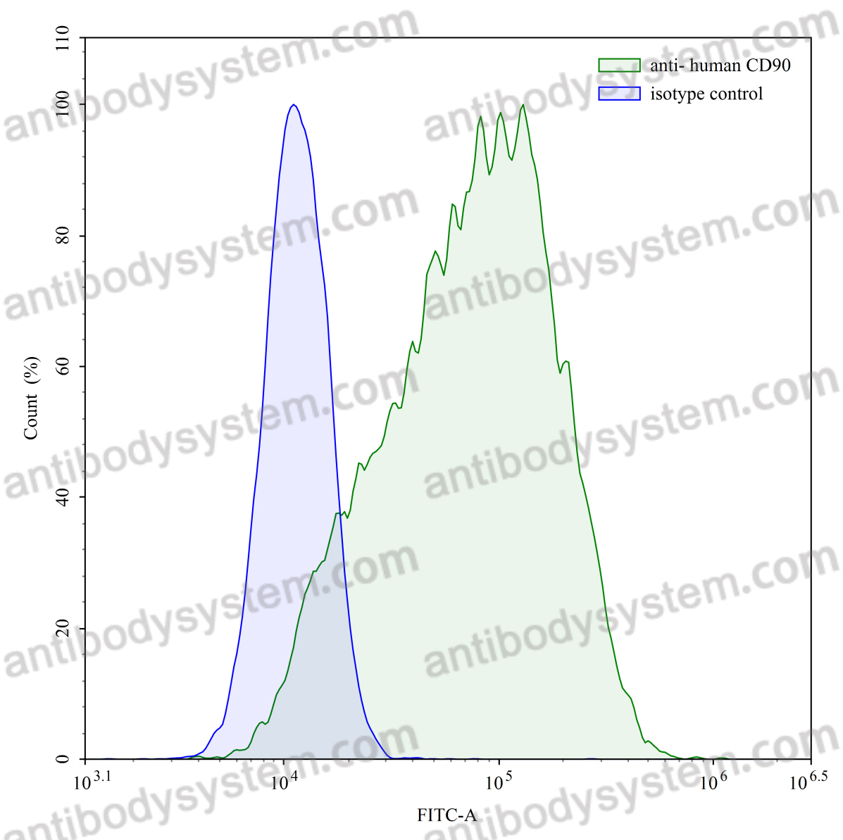 Anti-Human CD90/THY1 Antibody (H5)