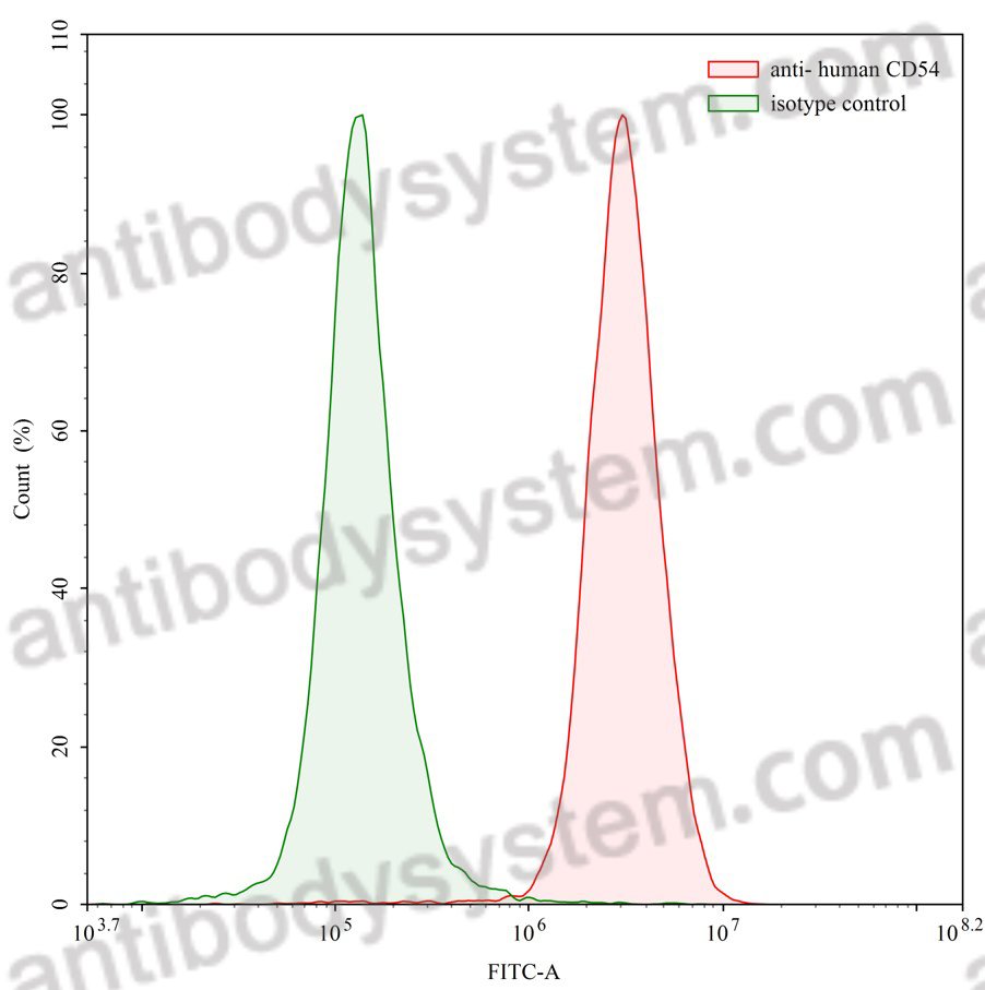 Anti-Human CD54/ICAM1 Antibody (SAA0025)