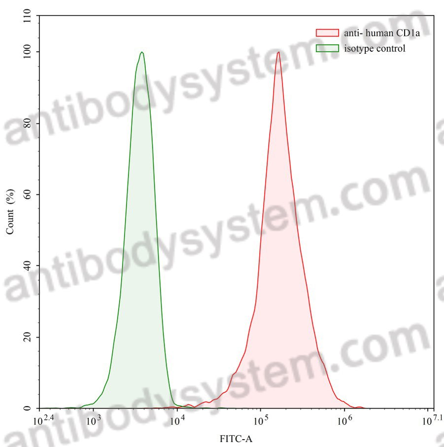 Anti-Human CD1a Antibody (2113)