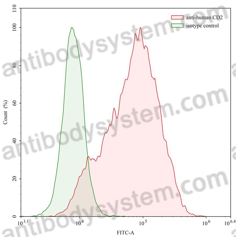 Anti-Human CD2 Antibody (G11)