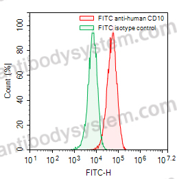 Anti-Human CD10/MME Antibody (NL-1), FITC