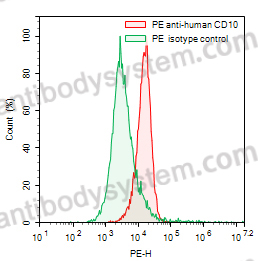 Anti-Human CD10/MME Antibody (NL-1), PE