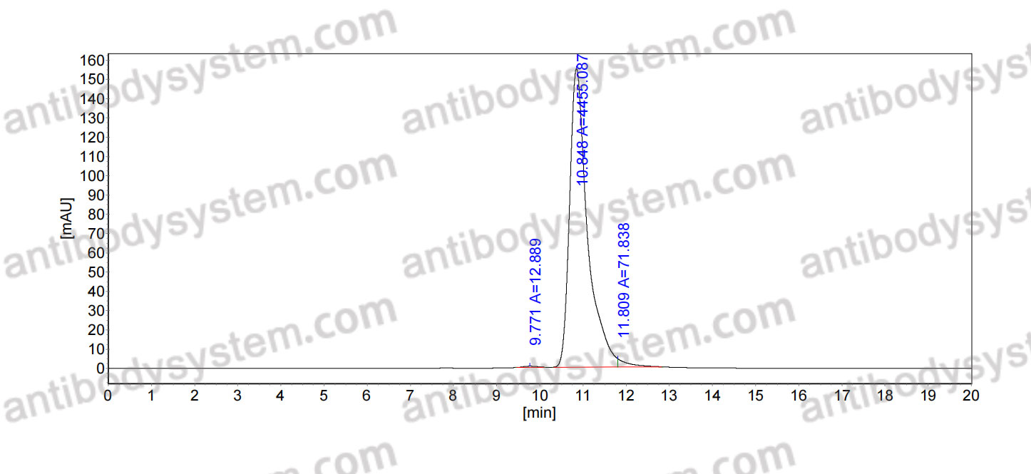 Anti-Human CSF1/M-CSF Antibody (SAA0417)