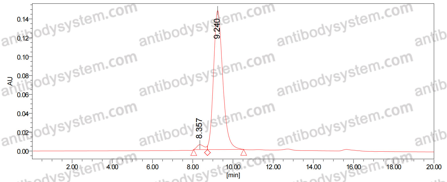 Anti-Human CD117/KIT Antibody (SAA1408)