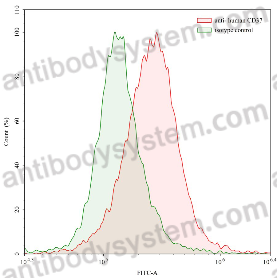 Anti-Human CD37/TSPAN26 Antibody (SAA0012)