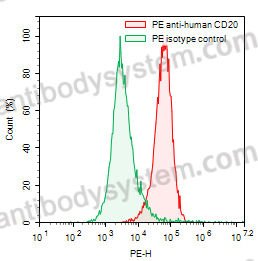 Anti-Human CD20/MS4A1 Antibody (SAA0006), PE