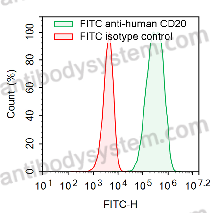 Anti-Human CD20/MS4A1 Antibody (SAA2208), FITC