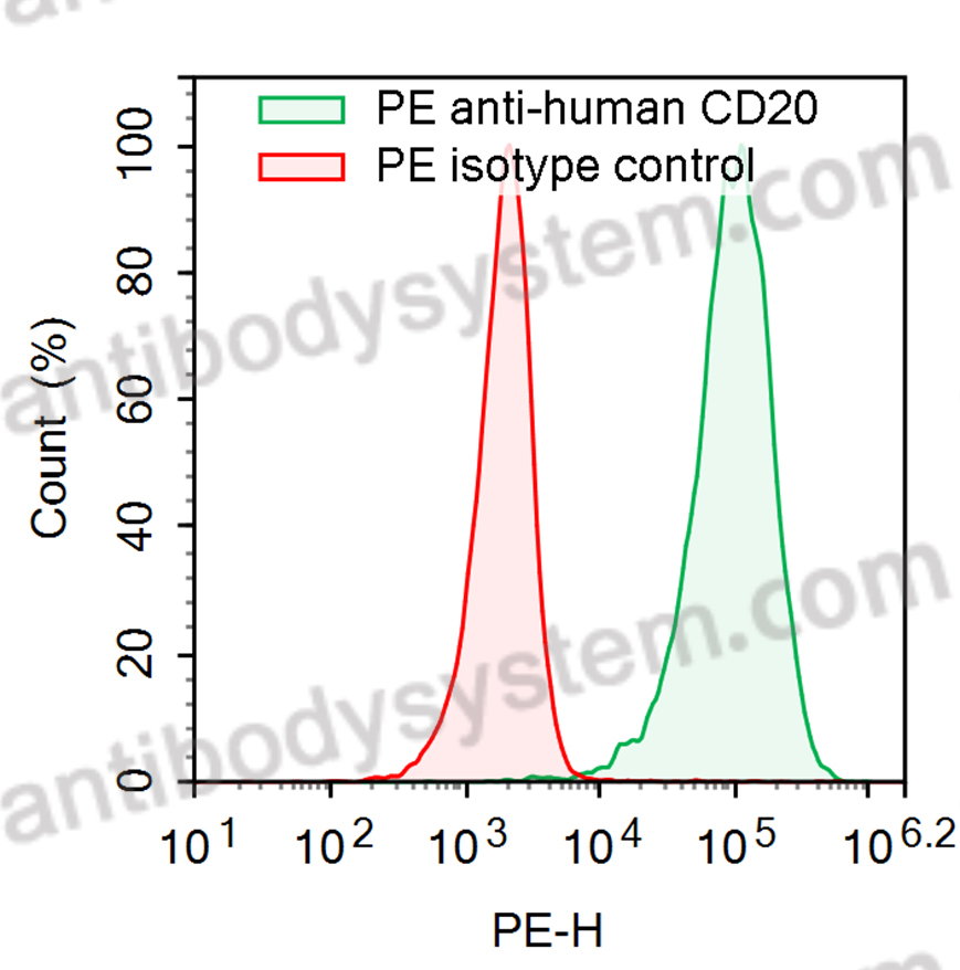 Anti-Human CD20/MS4A1 Antibody (SAA2208), PE