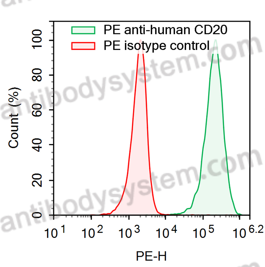 Anti-Human CD20/MS4A1 Antibody (SAA2209), PE