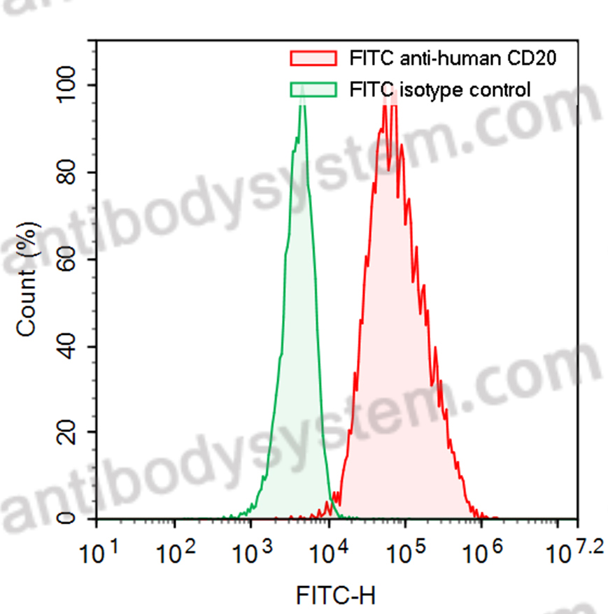 Anti-Human CD20/MS4A1 Antibody (SAA2210), FITC