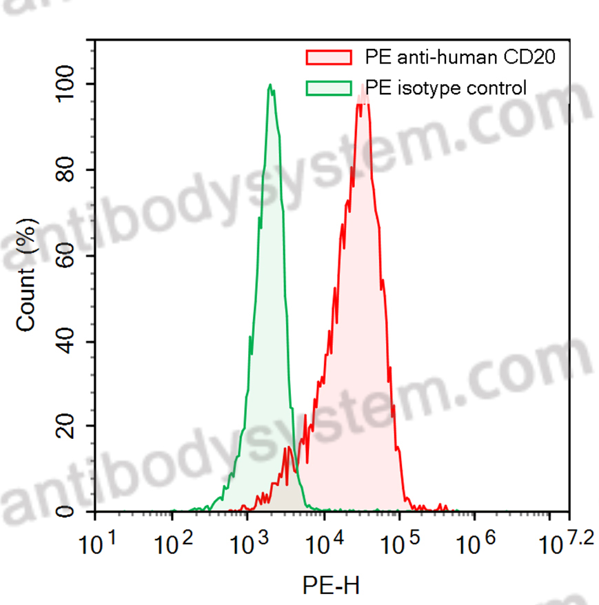 Anti-Human CD20/MS4A1 Antibody (SAA2210), PE