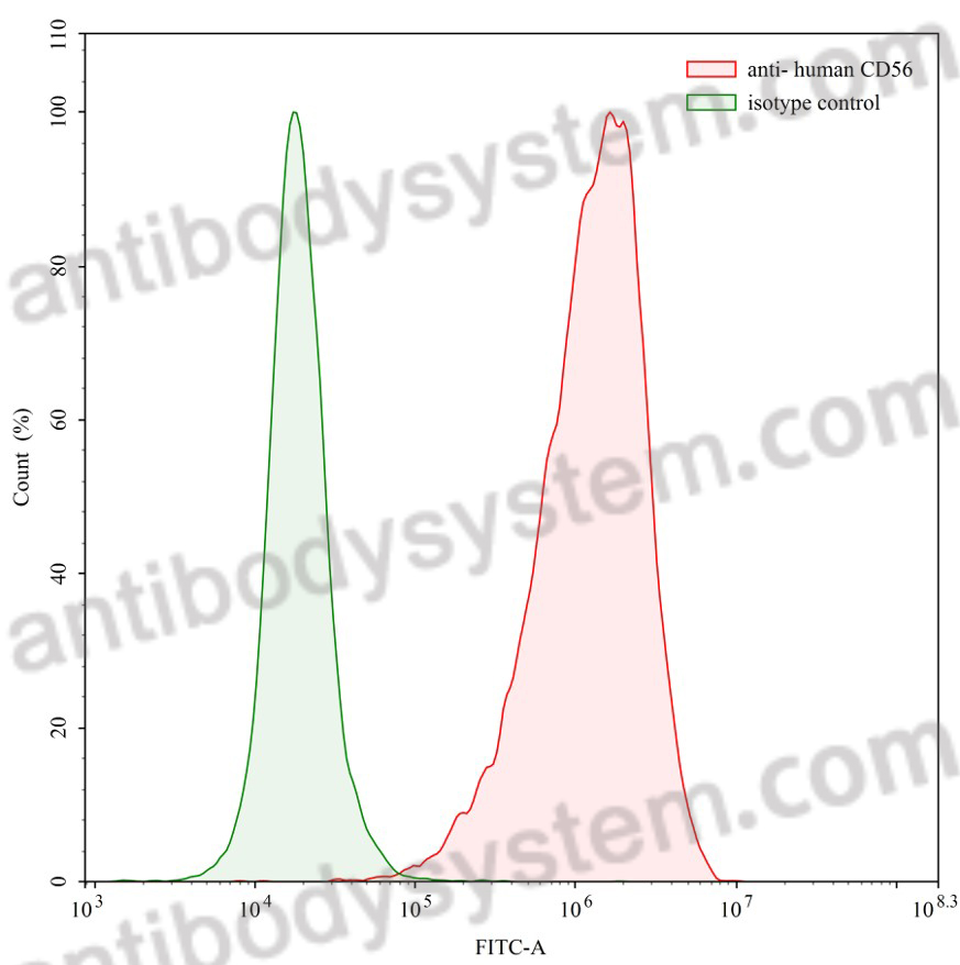 Anti-Human CD56/NCAM1 Antibody (N901-DM1)