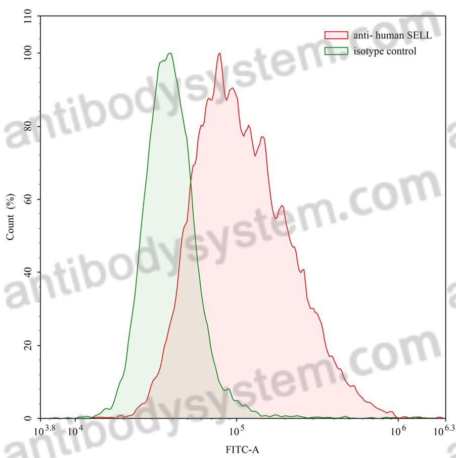 Anti-Human CD62L/SELL Antibody (Dreg-55)