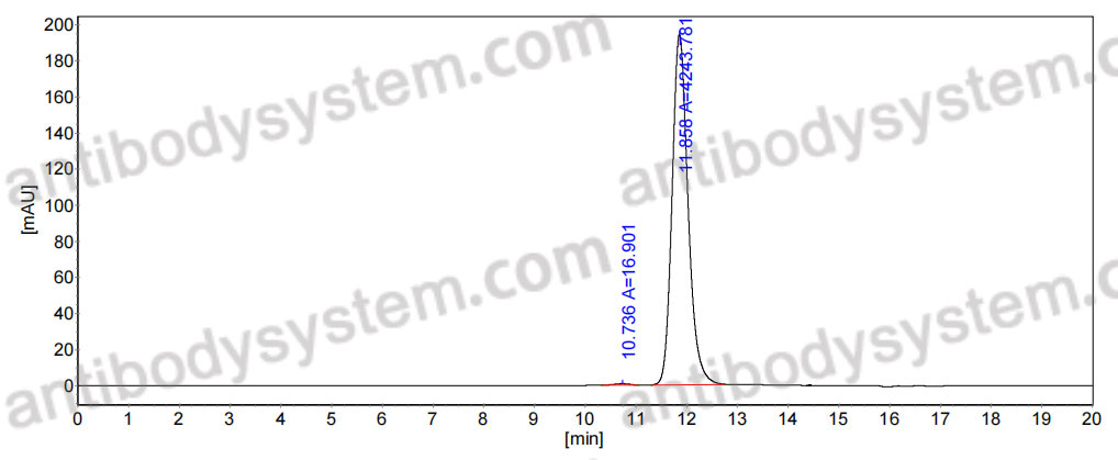 Anti-Human CD121a/IL1R1 Antibody (15C4)