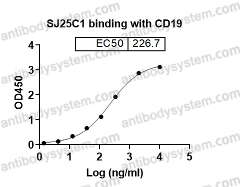 Anti-Human CD19 Antibody (SJ25C1)