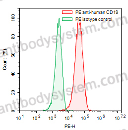 Anti-Human CD19 Antibody (4G7), PE