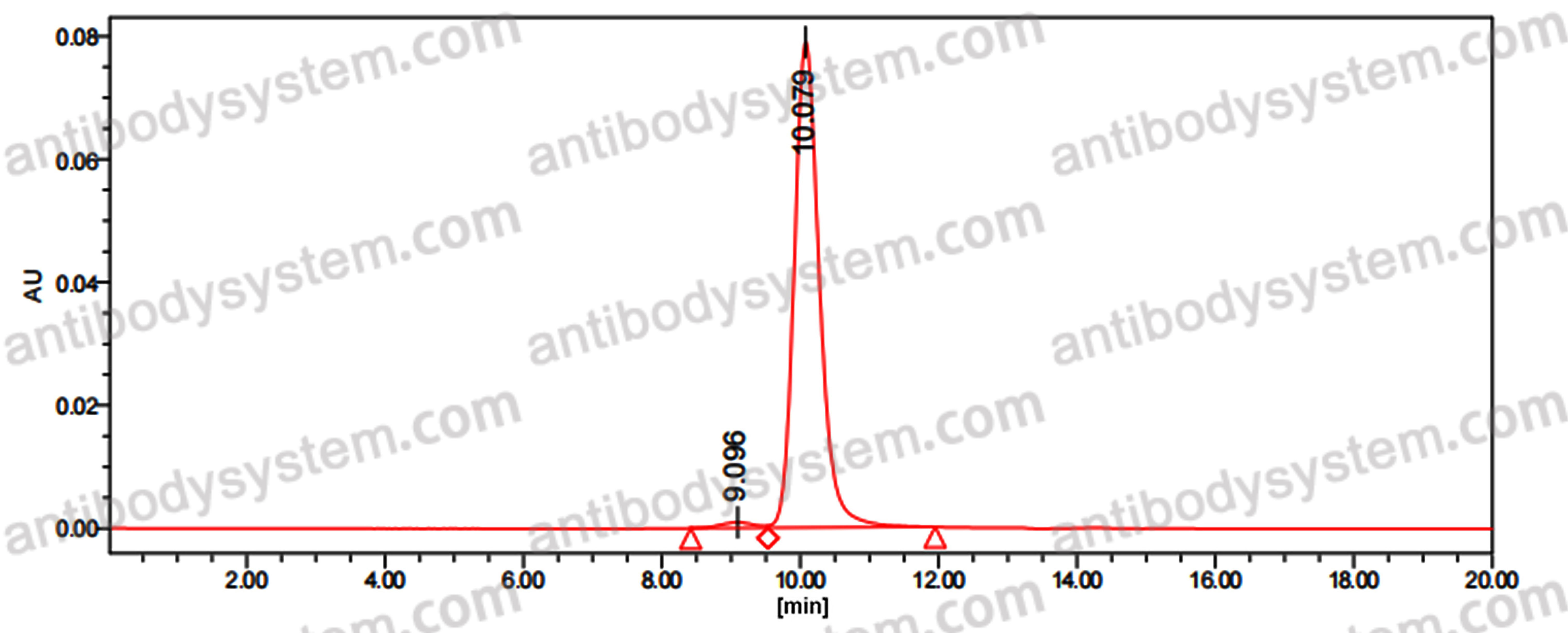 Anti-Human CD19 Antibody (FMC63)