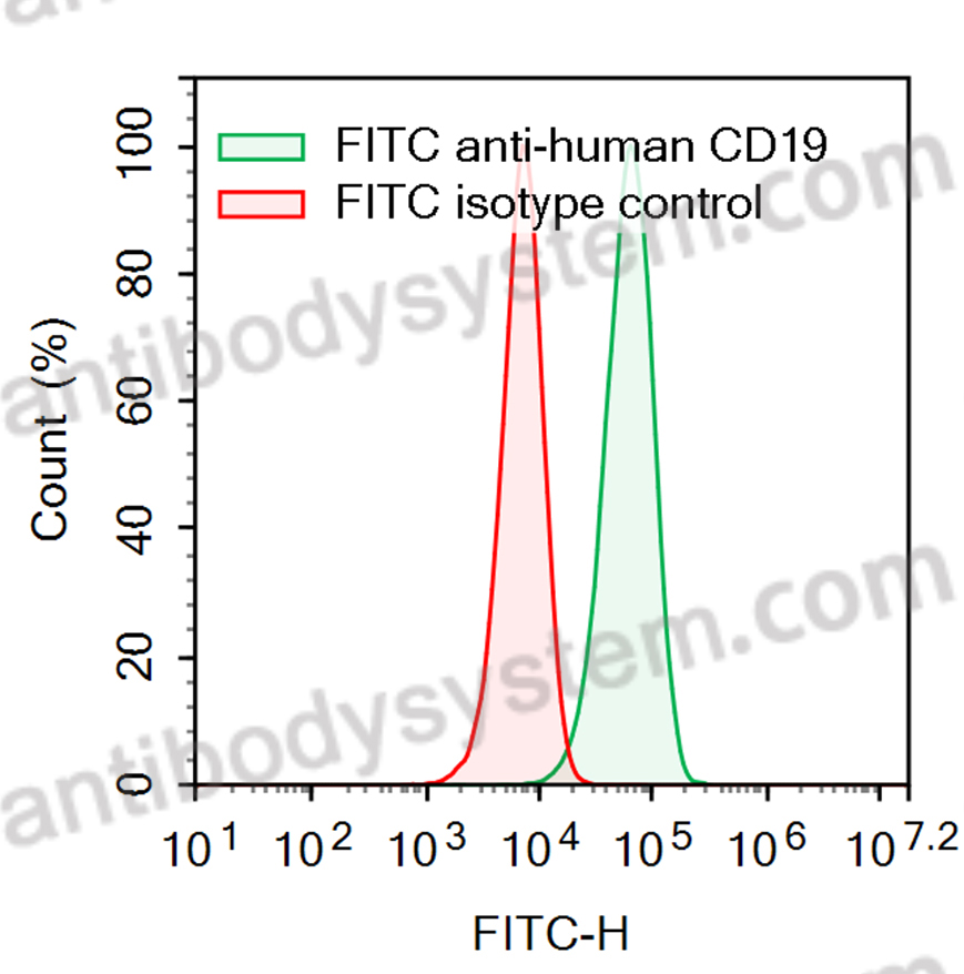 Anti-Human CD19 Antibody (SAA2206), FITC