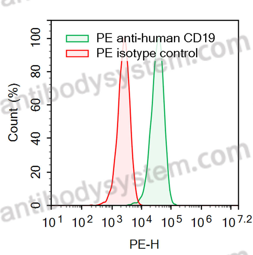 Anti-Human CD19 Antibody (SAA2206), PE