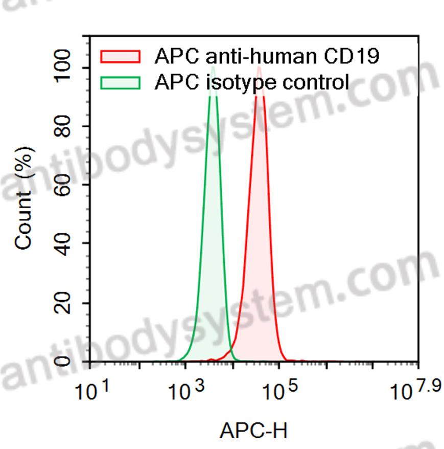 Anti-Human CD19 Antibody (SAA2206), APC