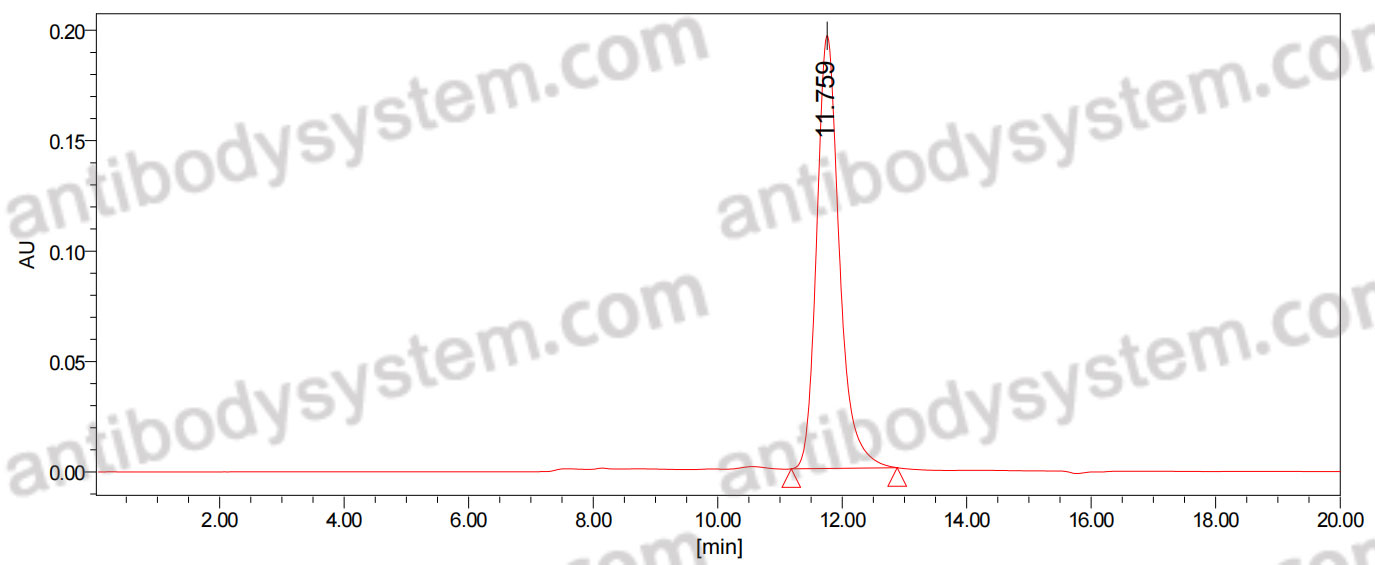 Anti-Human PRLR Antibody (h16f)