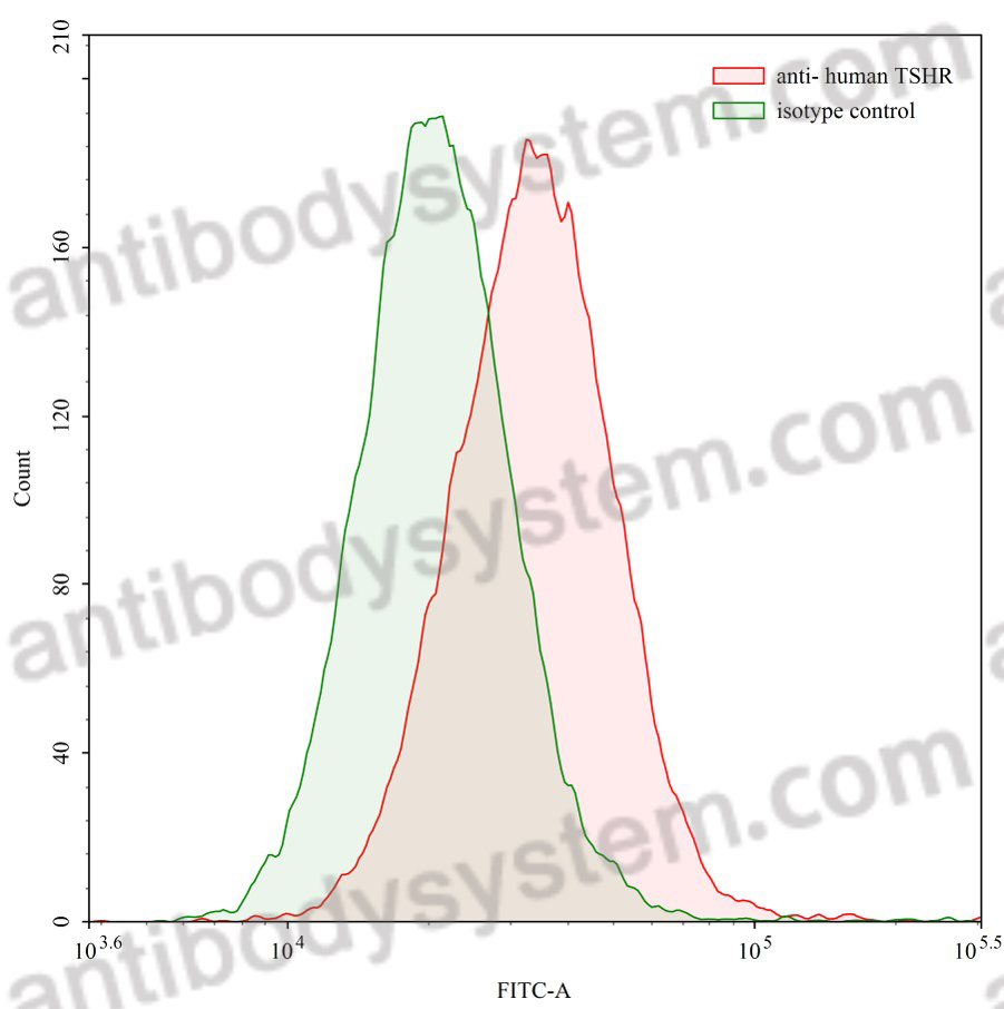 Anti-Human TSHR/LGR3 Antibody (M22)