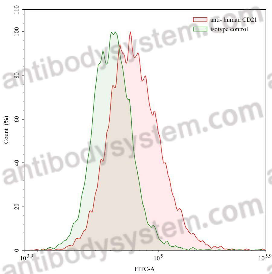 Anti-Human CD21/CR2 Antibody (HB5)