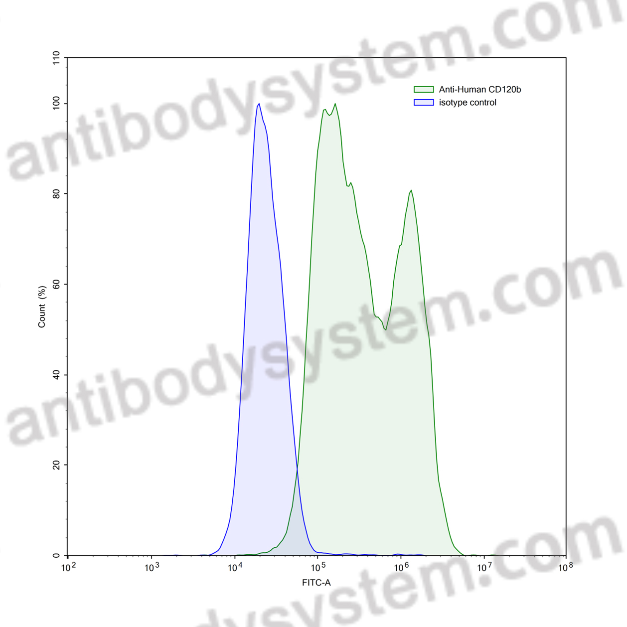 Anti-Human CD120b/TNFRSF1B/TNFR2 Antibody (E4#)