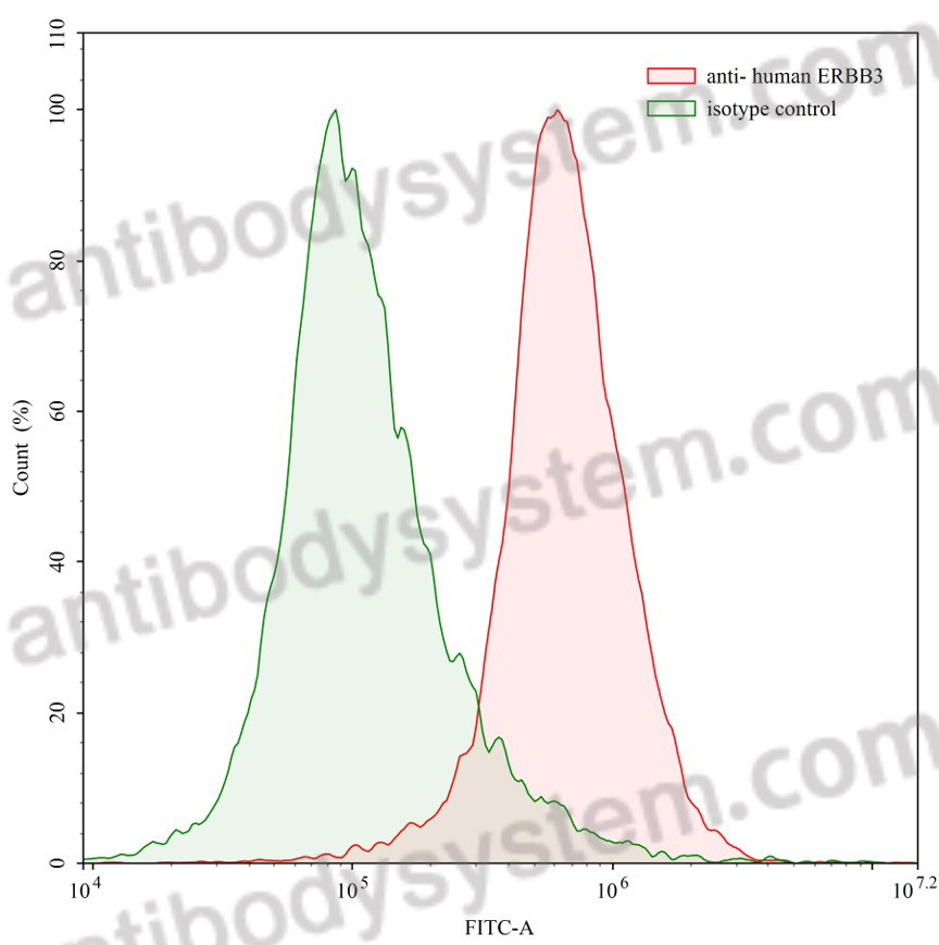 Anti-Human ERBB3/HER3 Antibody (SAA0122)
