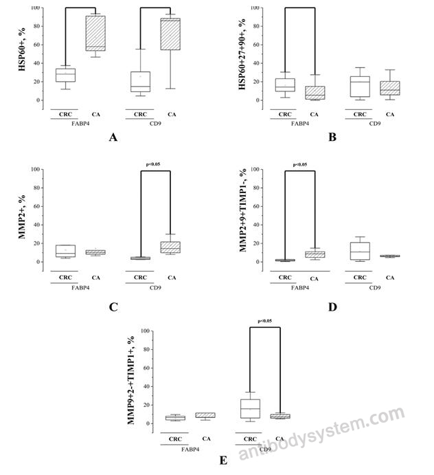 Anti-Human CD9 Antibody (SAA0003), PE