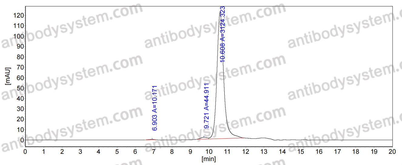 Anti-Human CD49f/ITGA6 Antibody (P2D10)