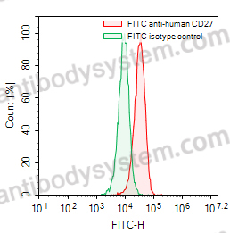 Anti-Human CD27 Antibody (5F24), FITC