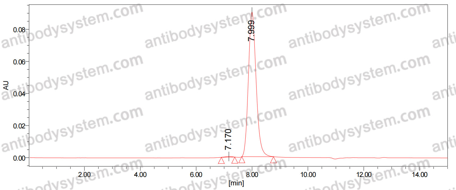 Anti-Human CD26/DPP4 Antibody (SAA0009)
