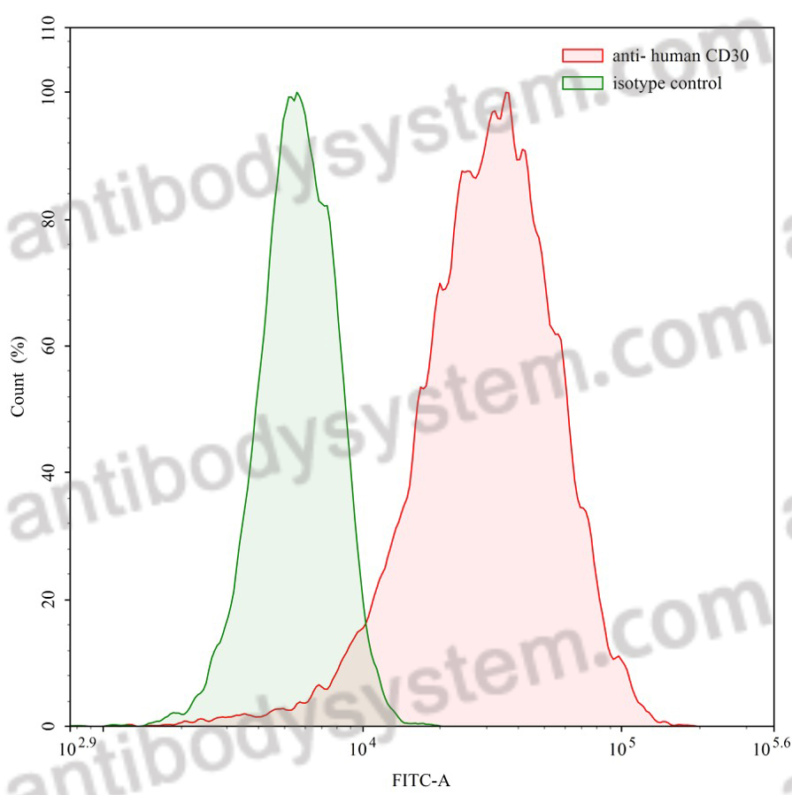 Anti-Human CD30/TNFRSF8 Antibody (Ber-H2)