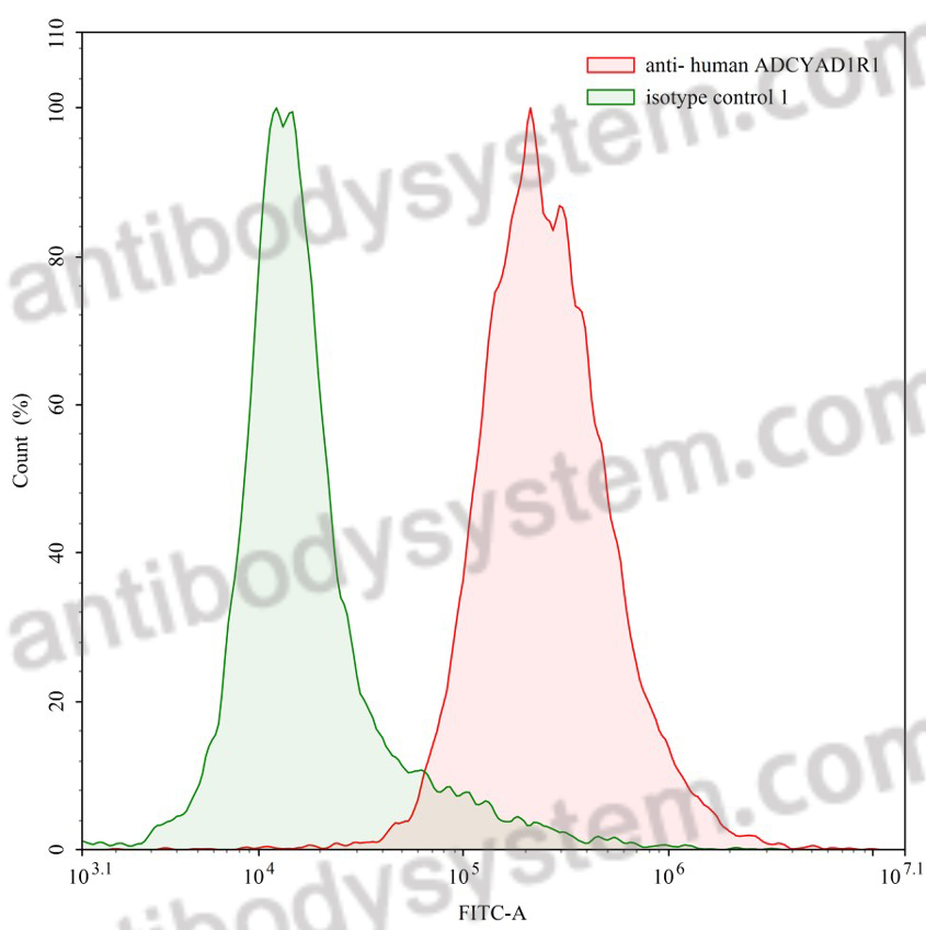 Anti-Human ADCYAP1R1 Antibody (SAA0130)