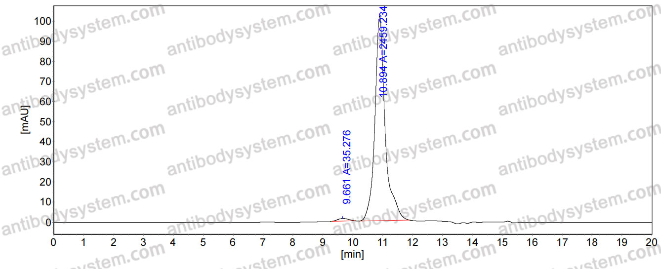 Anti-Human CD212/IL12RB1 Antibody (148C09)