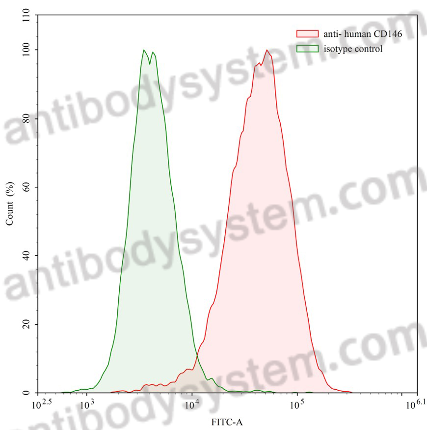 Anti-Human CD146/MUC18/MCAM Antibody (SAA0060)