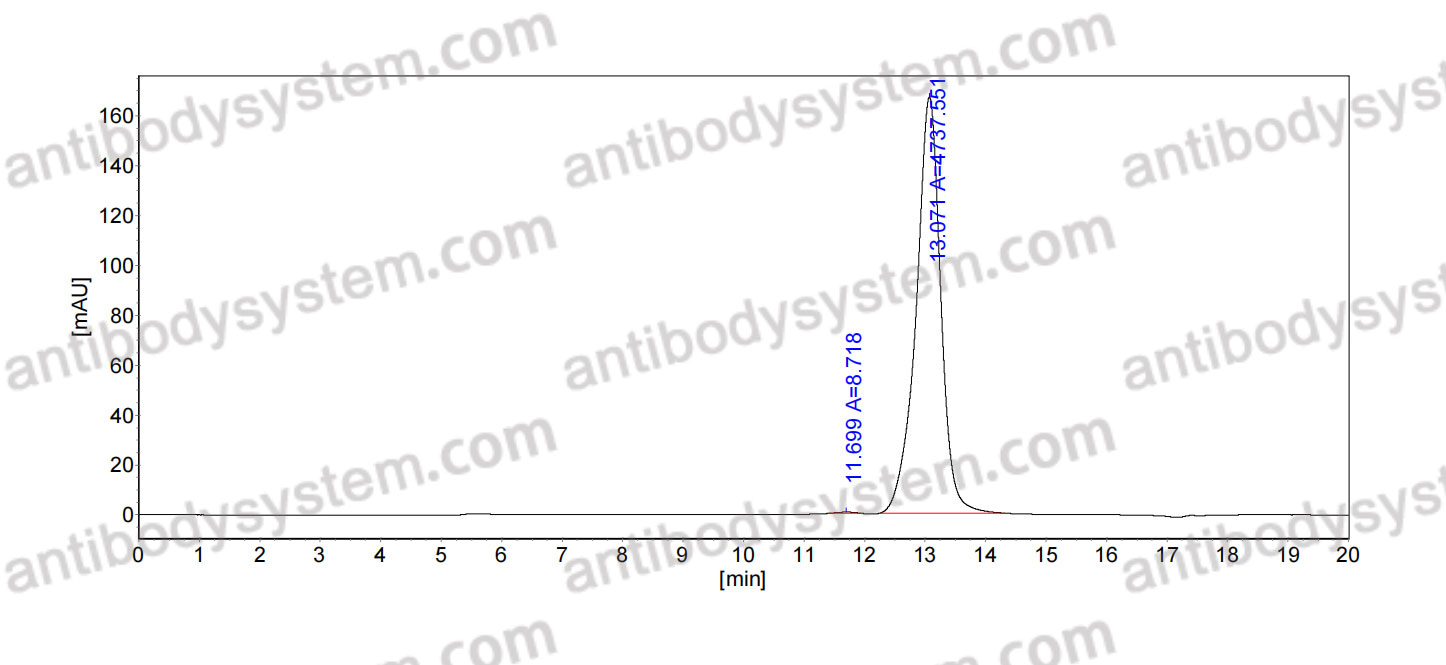 Anti-Human CD178/FASLG/TNFSF6 Antibody (NOK2/NOK-2)