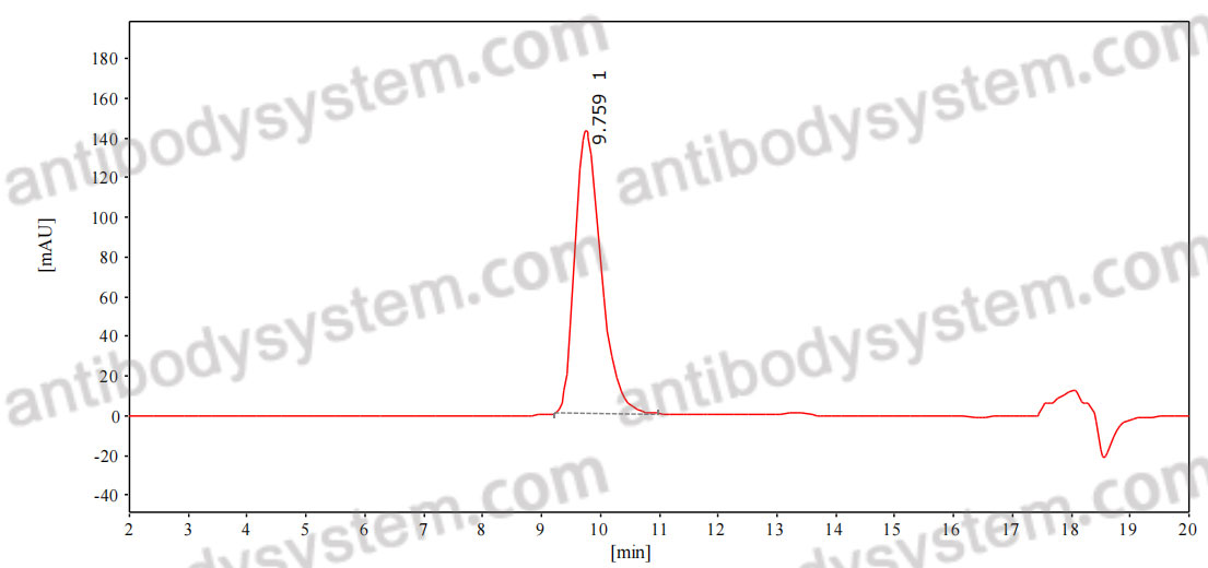 Anti-Human Flt3 ligand/FLT3LG Antibody (SAA0422)