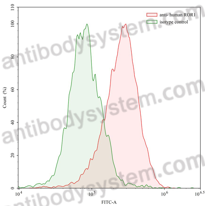 Anti-Human ROR1 Antibody (SAA0140)
